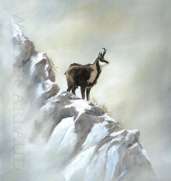 isard Peinture Isard